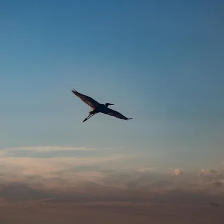 Kősüllő * Szántód