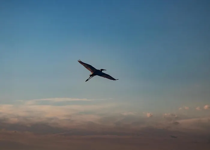 Kősüllő * Szántód