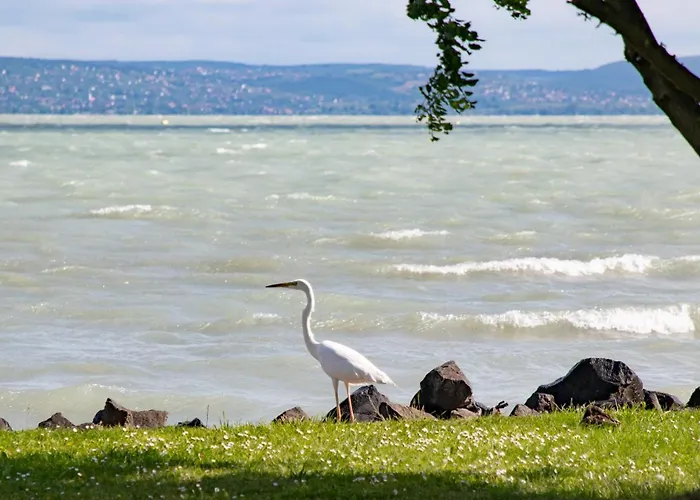 Casa vacanze Kősüllő Szántód